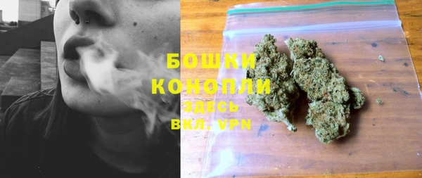 гашик Богданович
