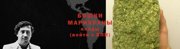 гашик Богданович
