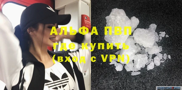 гашик Богданович