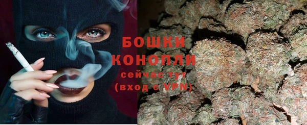гашик Богданович