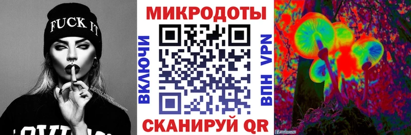Псилоцибиновые грибы Psilocybine cubensis  Вяземский 